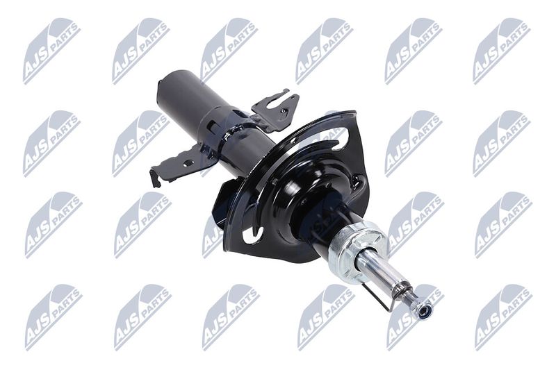Amort, NTY A-CH-084