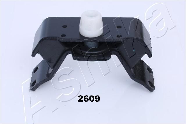 GOM-2609_1.JPG