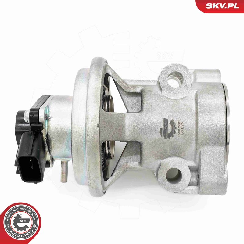 ESEN SKV 14SKV269 EGR Valve