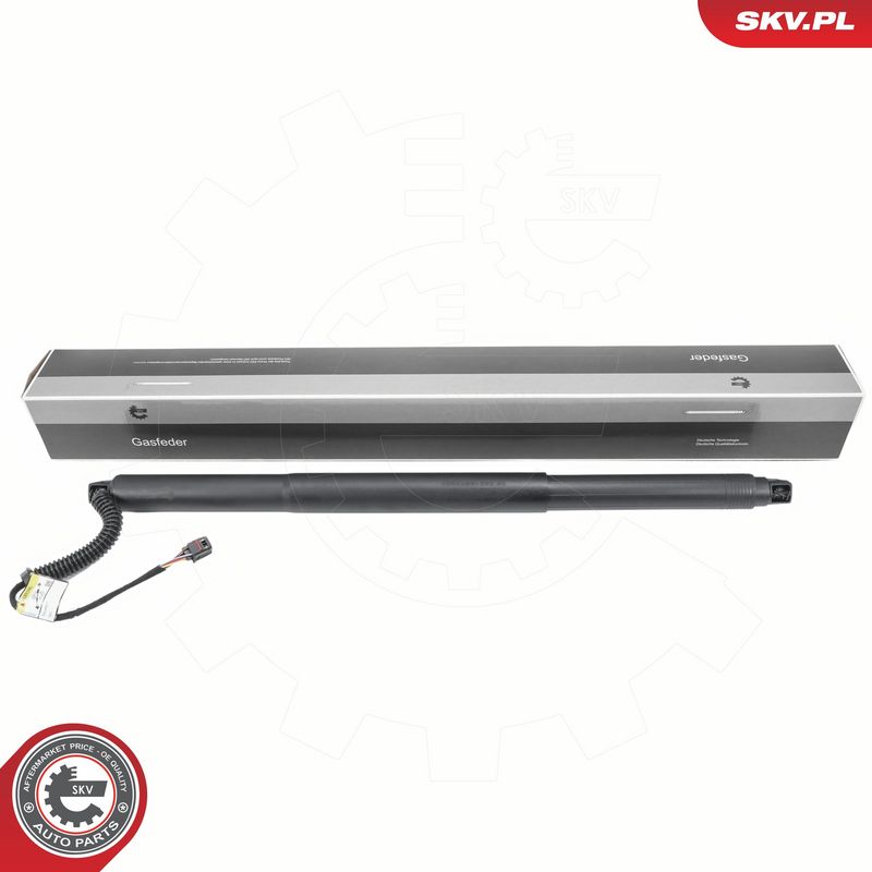 Elektrimootor, tagaluuk, ESEN SKV 52SKV197