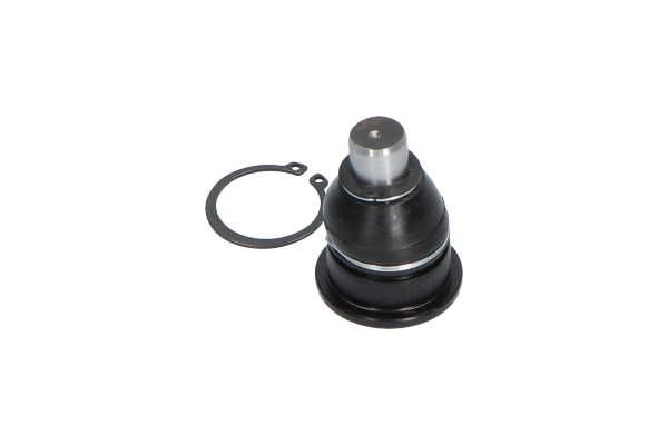 Kavo Parts SBJ-10011 Šarnyras