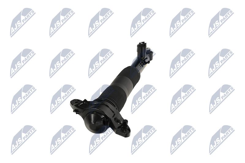 Amort, NTY A-LR-037