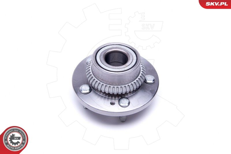 ESEN SKV 29SKV370 Wheel Bearing Kit