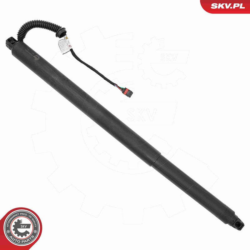 ESEN SKV 52SKV253 Electric Motor, tailgate