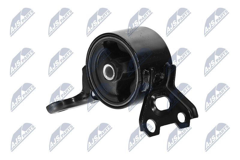 Paigutus, Mootor, NTY ZPS-CH-179