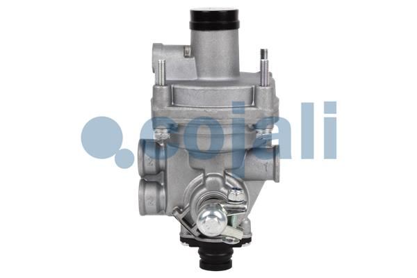 Releu, ALB COJALI 2320203