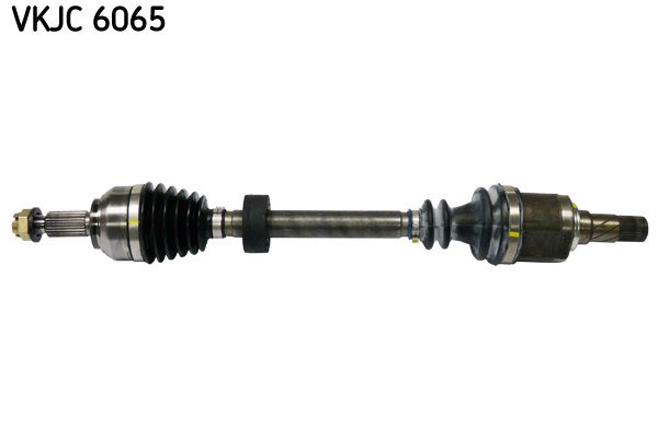 VKJC 6065.JPG