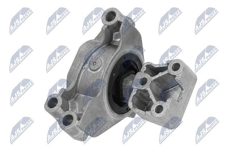 Paigutus, Mootor, NTY ZPS-PE-031