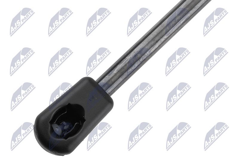 NTY AE-NS-036 Gas Spring, bonnet