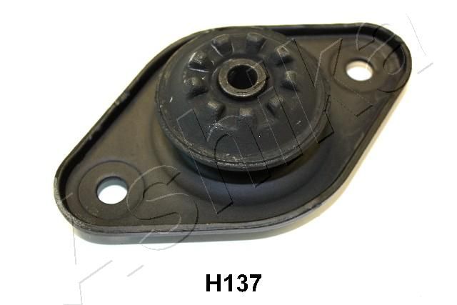 GOM-H137_1.JPG