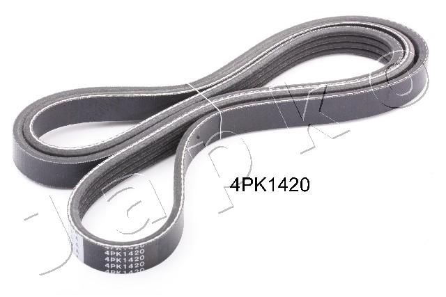 4PK1420_1.JPG