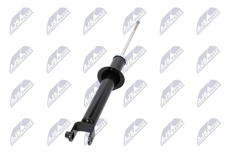 Amort, NTY A-CH-054
