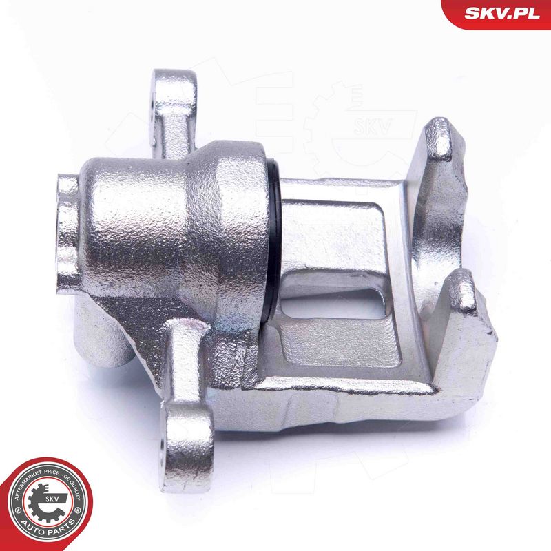 Pidurisadul, ESEN SKV 45SKV193