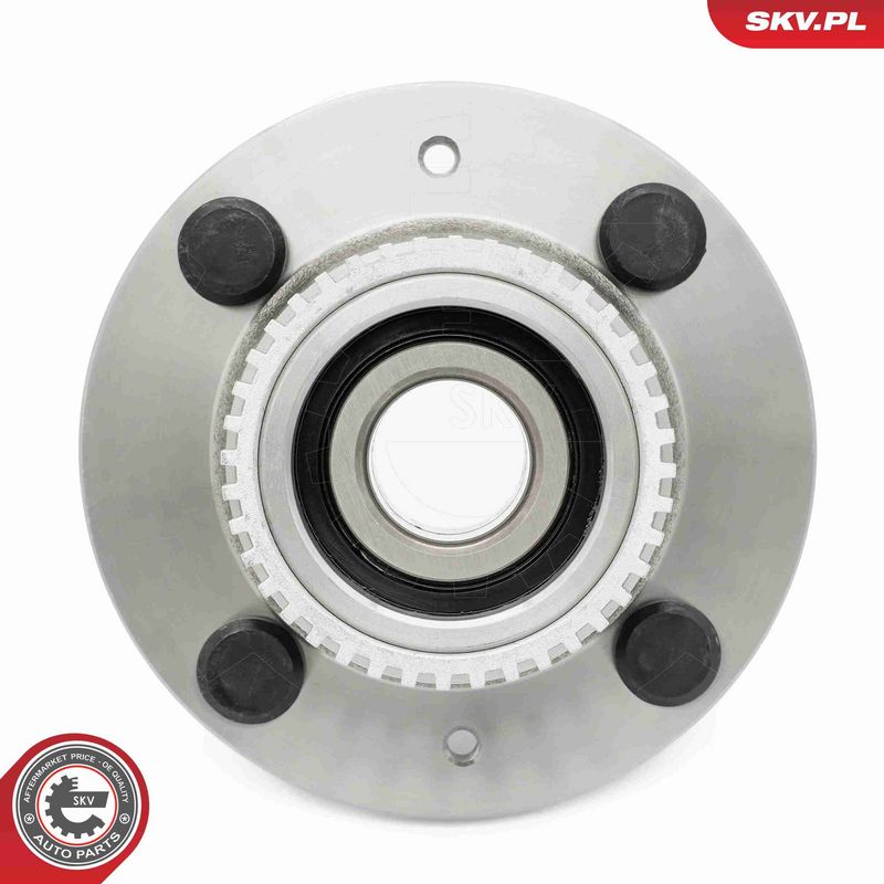 ESEN SKV 29SKV661 Wheel Bearing Kit