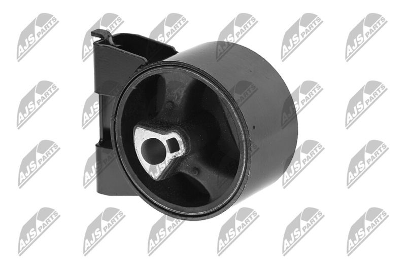 Paigutus, Mootor, NTY ZPS-CH-054