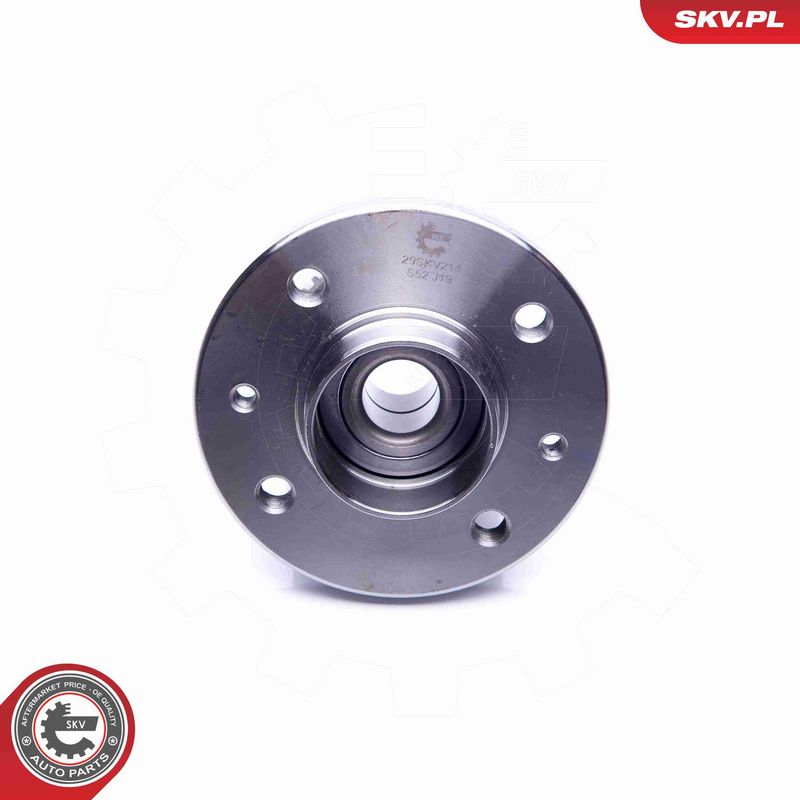 ESEN SKV 29SKV214 Wheel Bearing Kit