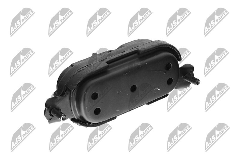 Paigutus, Mootor, NTY ZPS-CH-115