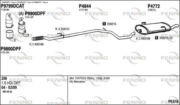 PE616.JPG