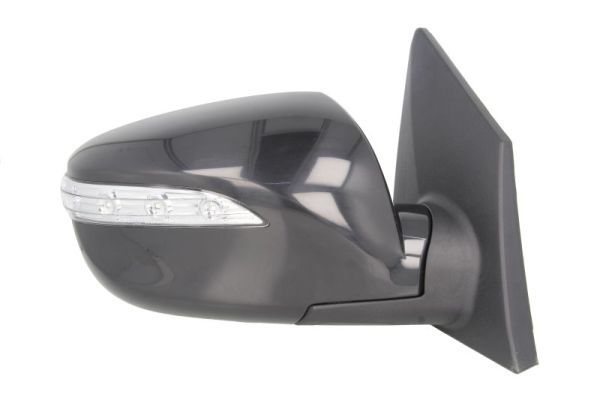 BLIC 5402-20-2001422P Exterior Mirror