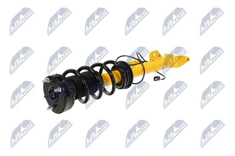 Amort, NTY A-CH-122