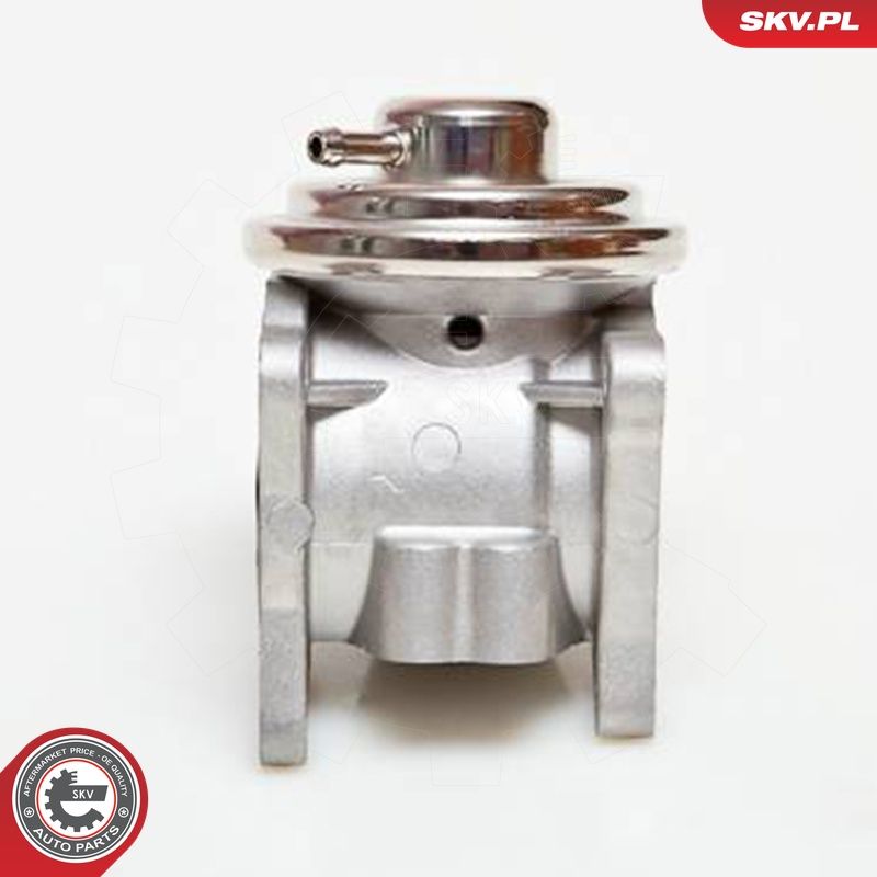 EGR-klapp, ESEN SKV 14SKV019