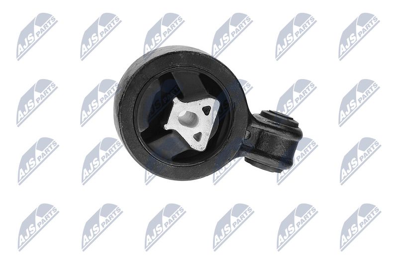 Paigutus, Mootor, NTY ZPS-CH-117