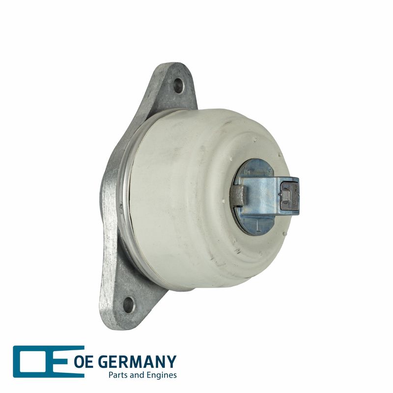 802554-1-V1-OEG.JPG
