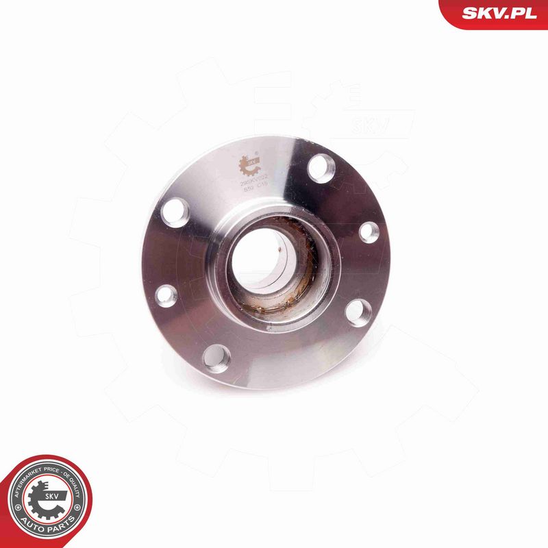 ESEN SKV 29SKV022 Wheel Bearing Kit