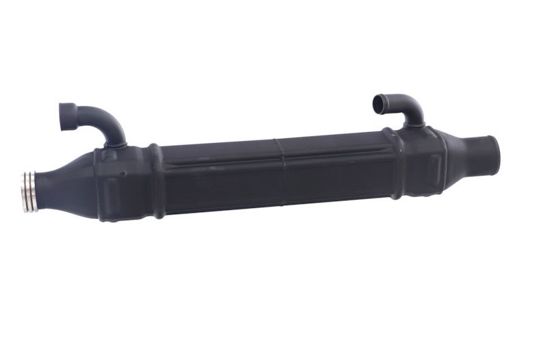 REMANTE 010-001-000022R EGR Module