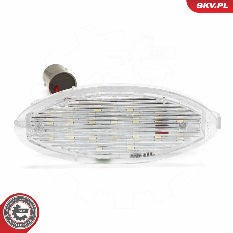 Numbrivalgustus, ESEN SKV...