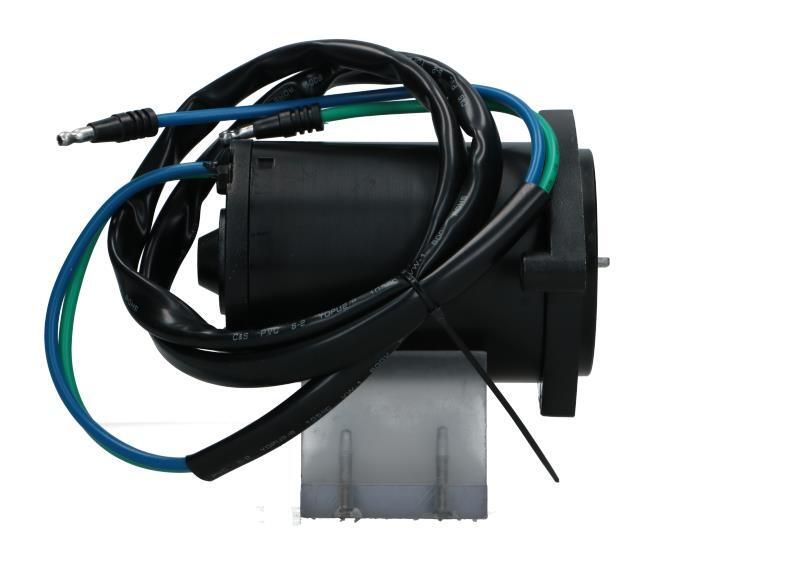 BV PSH 350.569.000.200 Electric Motor