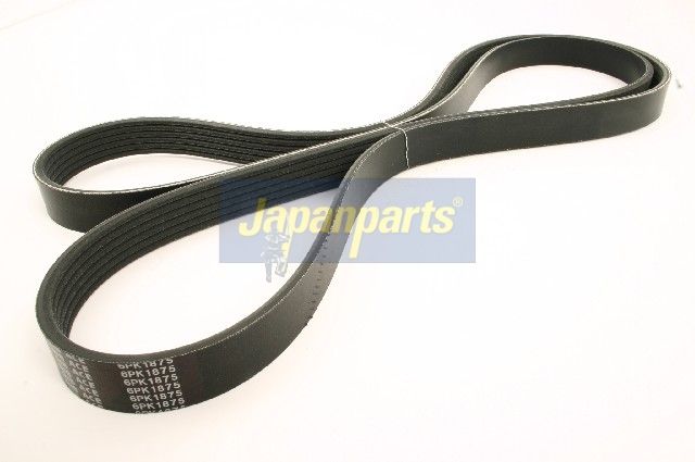 Correa trapecial poli V