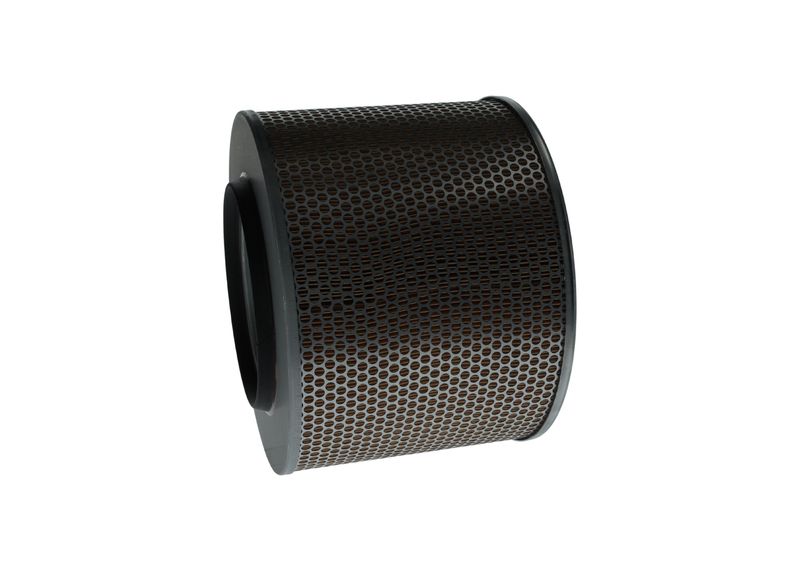 BOSCH 1 457 429 779 Oro filtras