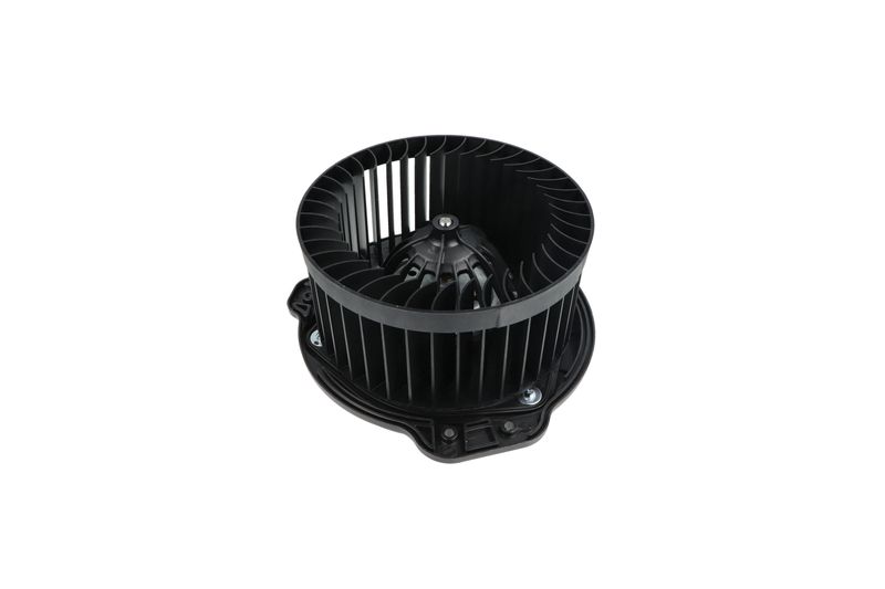 Salongipuhur, NRF 34136