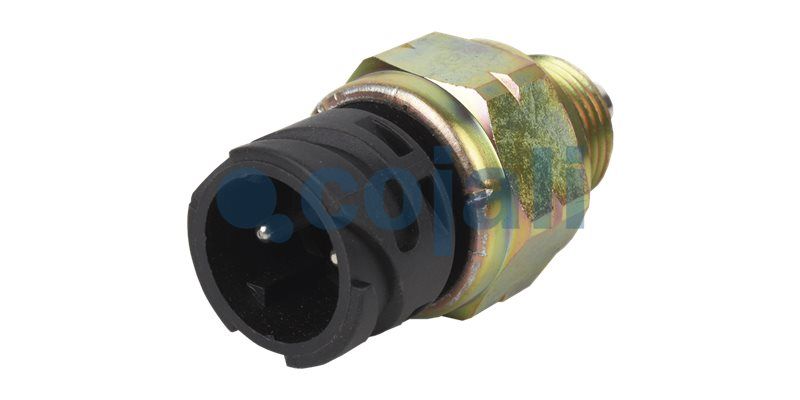 Comutator control COJALI 2260364