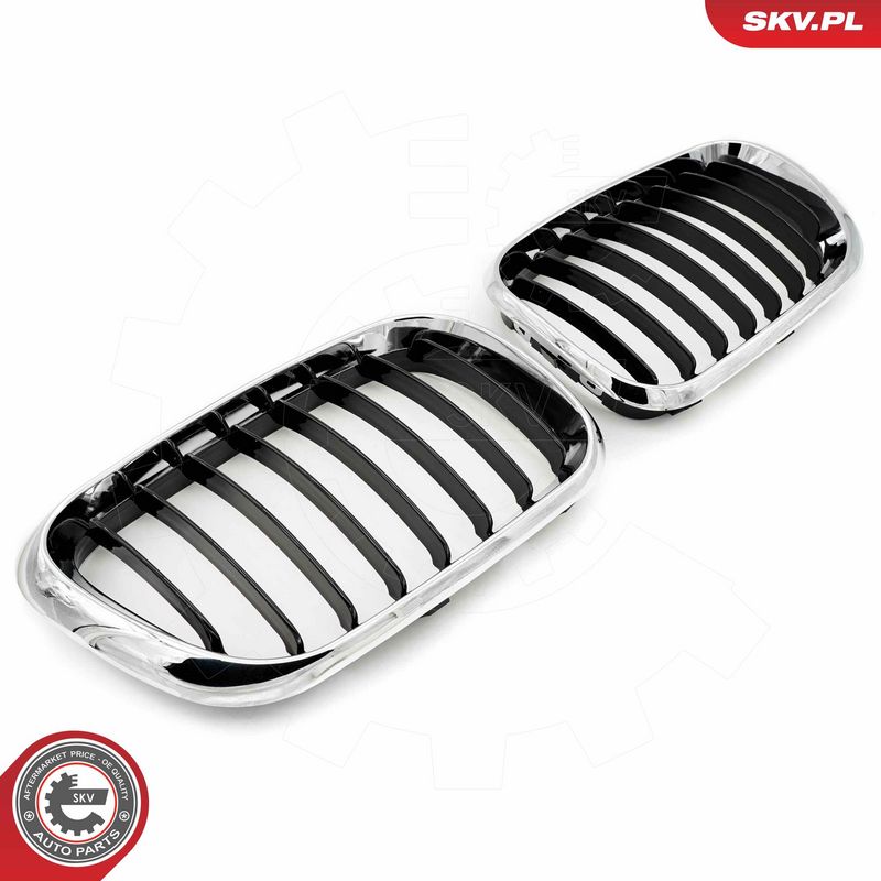 Radiaatorivõre, ESEN SKV 66SKV273