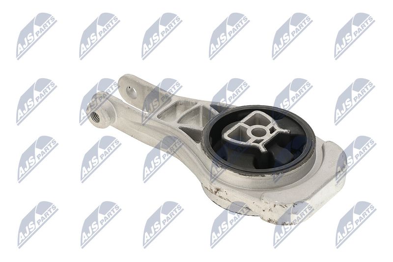 Paigutus, Mootor, NTY ZPS-PL-079