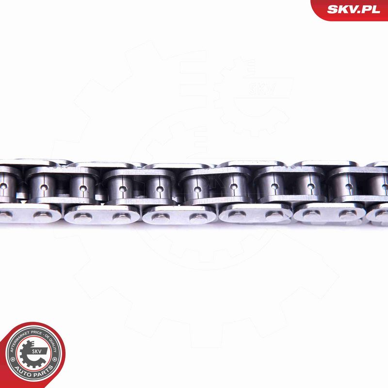 ESEN SKV 21SKV190 Timing Chain Kit