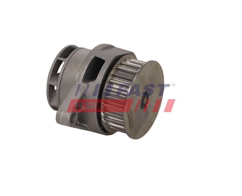 FAST FT04494 Vandens siurblys