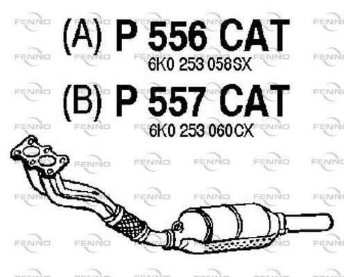 P556CAT.JPG