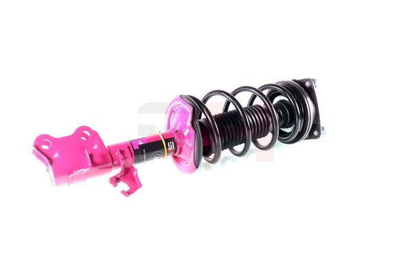 Vedruamort, GH GH-352298C01