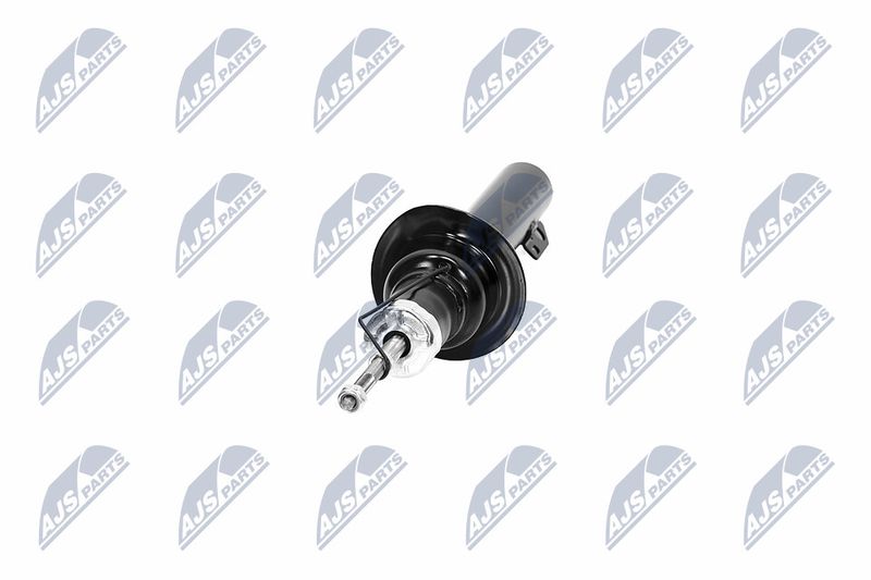 Amort, NTY A-CH-065