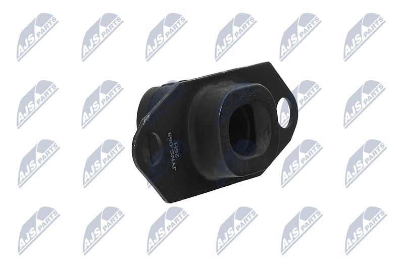 Paigutus, Mootor, NTY ZPS-NS-055