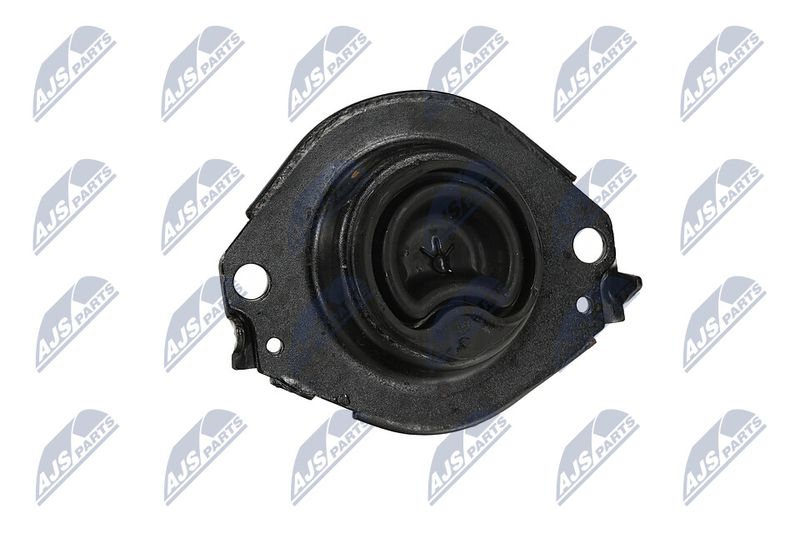 Paigutus, Mootor, NTY ZPS-CH-076