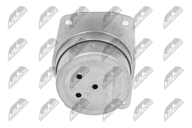 Paigutus, Mootor, NTY ZPS-PL-025