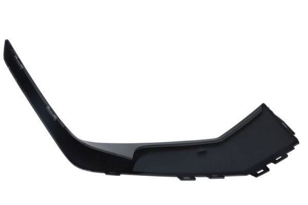 BLIC 6502-07-0101925P Trim/Protection Strip, bumper