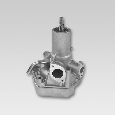 P1174.JPG