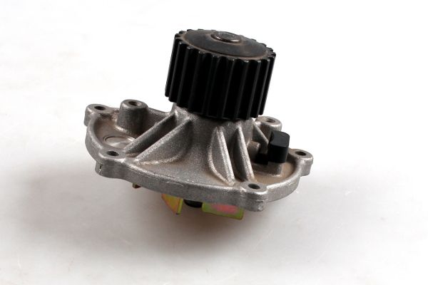 HEPU P1025 Water Pump, engine cooling