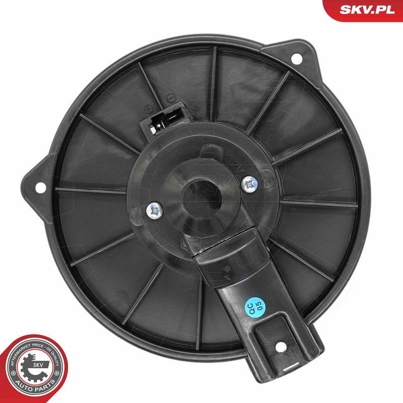 Salongipuhur, ESEN SKV...