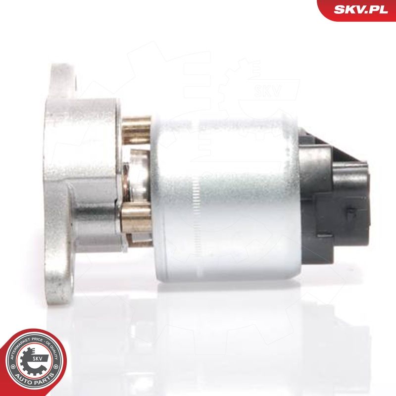 EGR-klapp, ESEN SKV 14SKV035